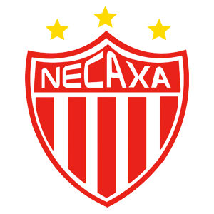 Nexaca Logo