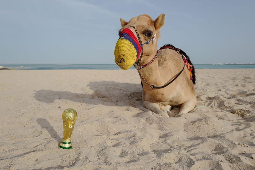It is hot outside in Qatar.